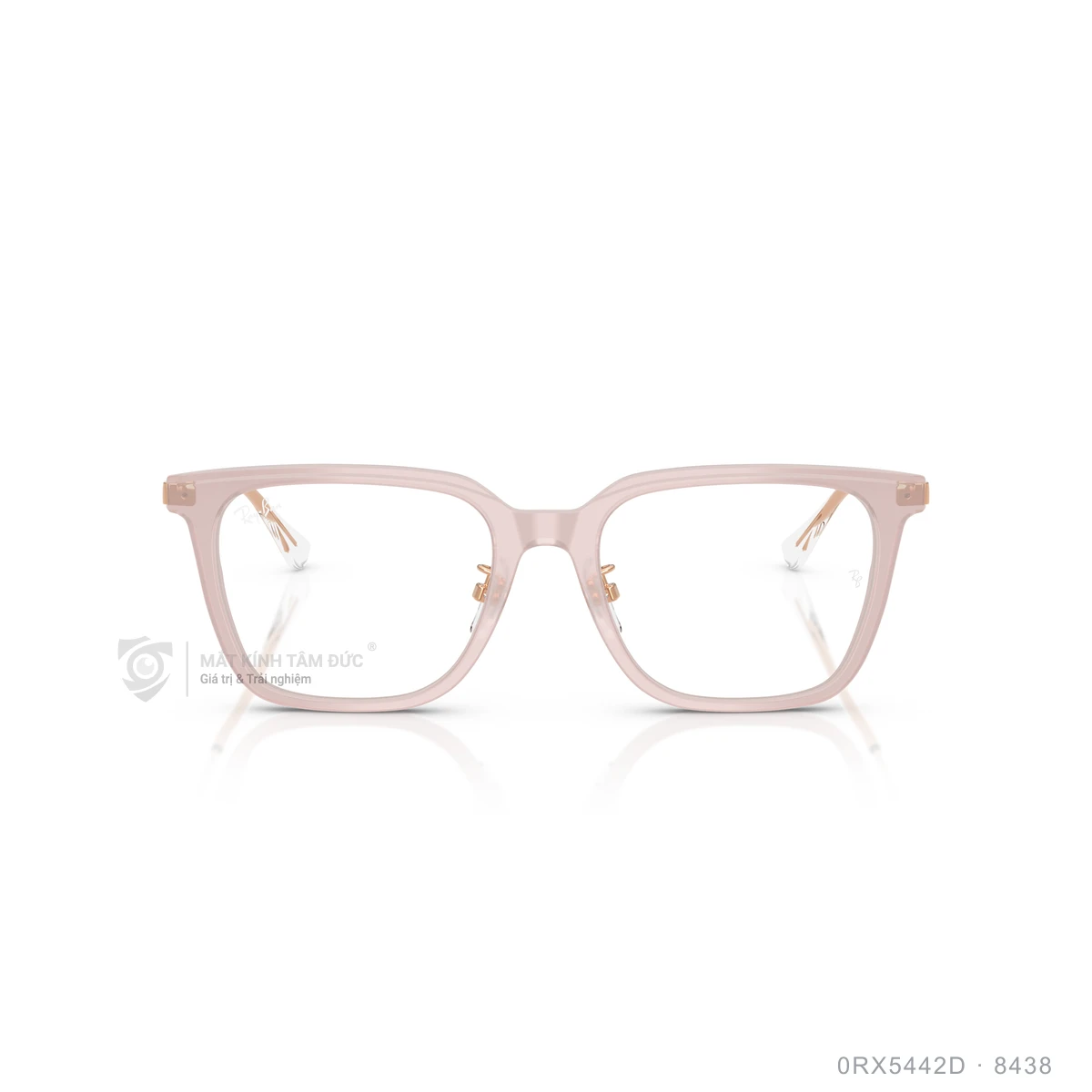 Gọng kính Rayban 0RX5442D - Ảnh 26
