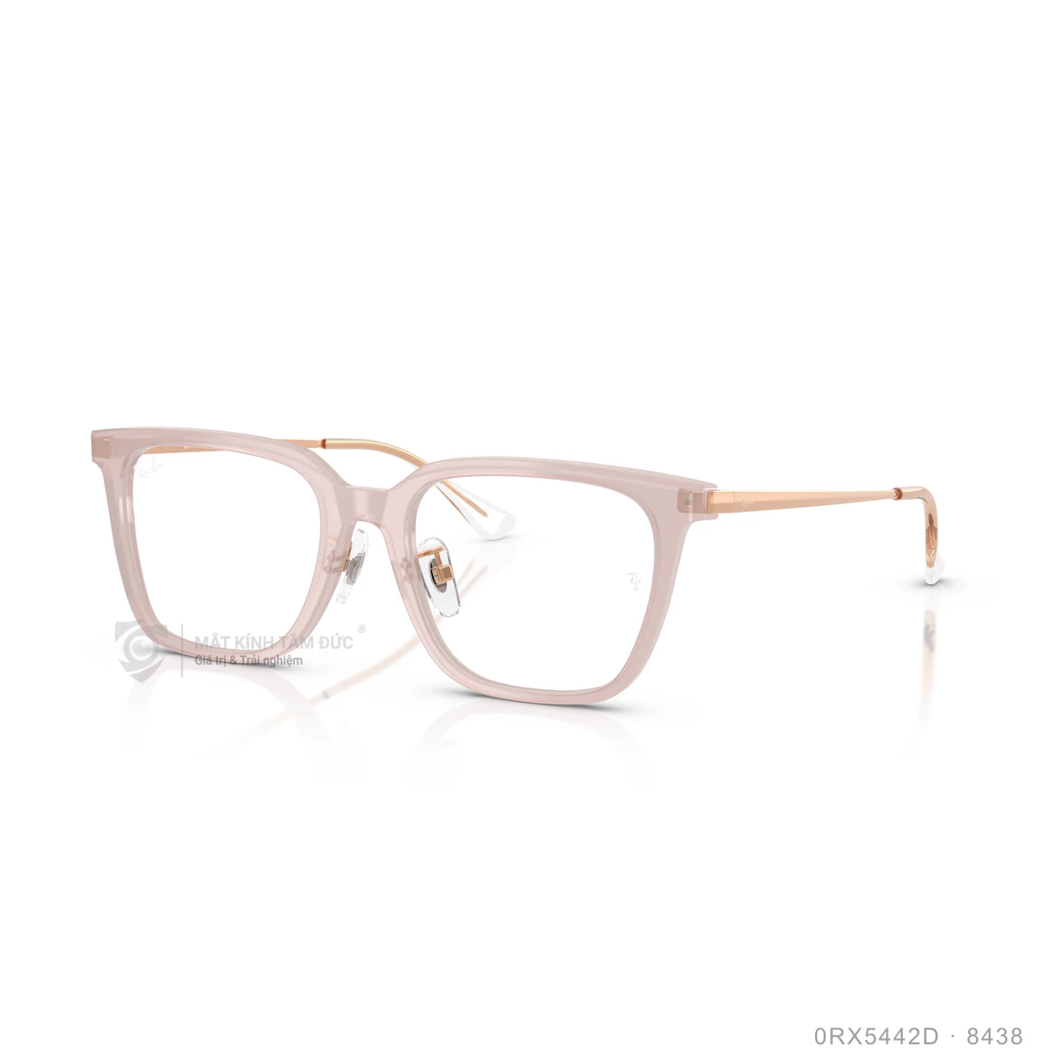 Gọng kính Rayban 0RX5442D - Ảnh 27