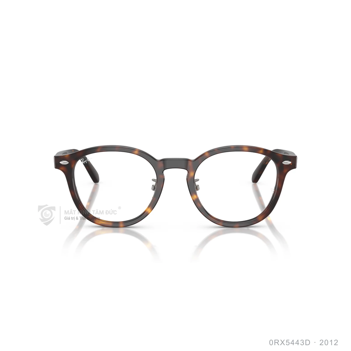 Gọng kính Rayban 0RX5443D - Ảnh 11
