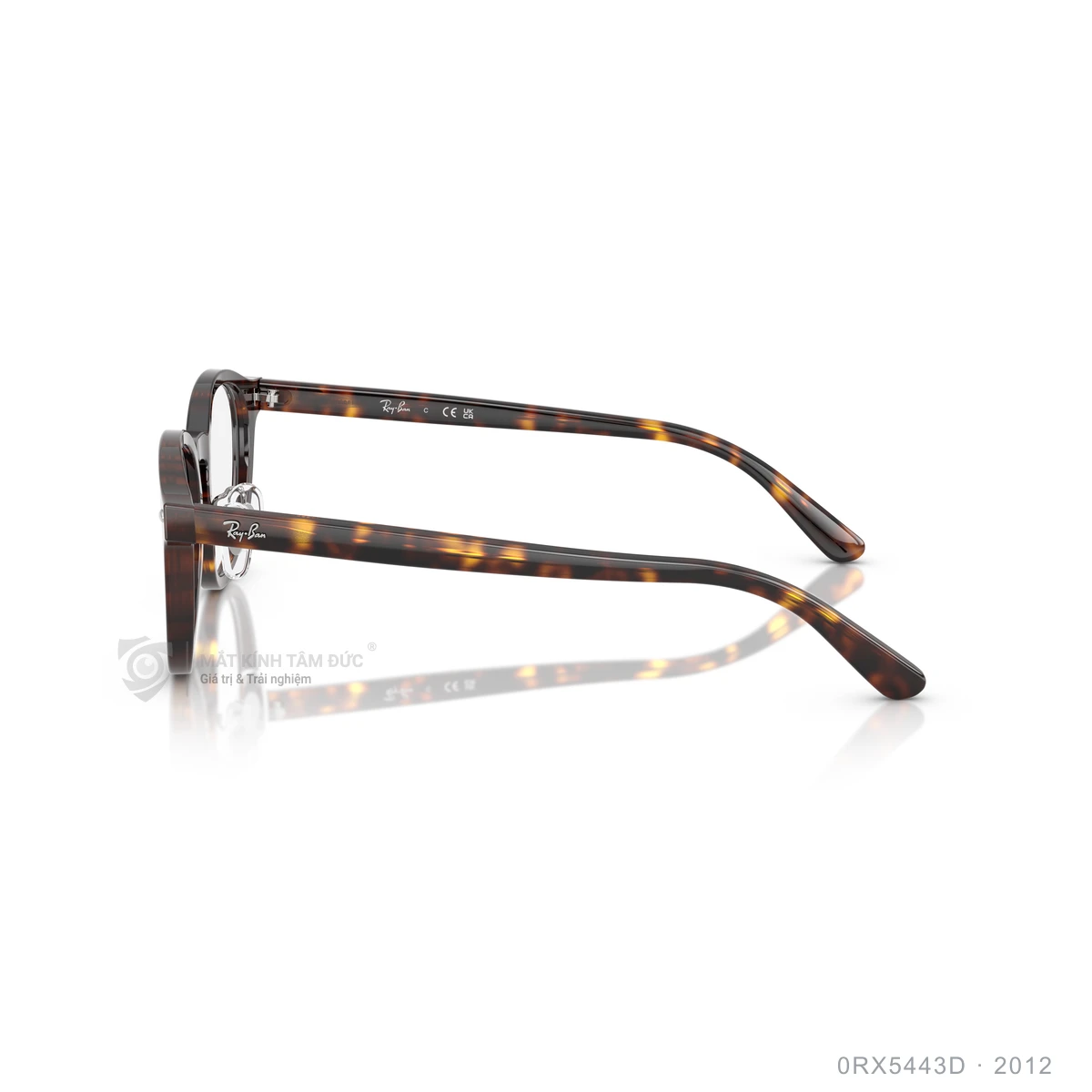 Gọng kính Rayban 0RX5443D - Ảnh 14