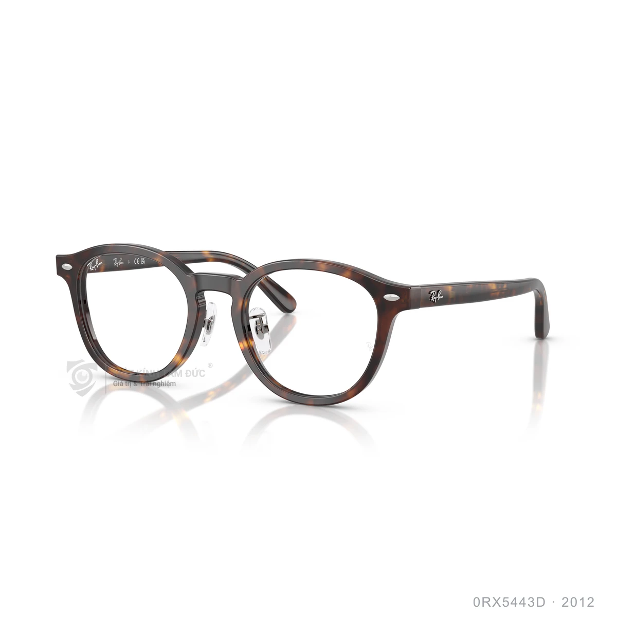 Gọng kính Rayban 0RX5443D - Ảnh 12