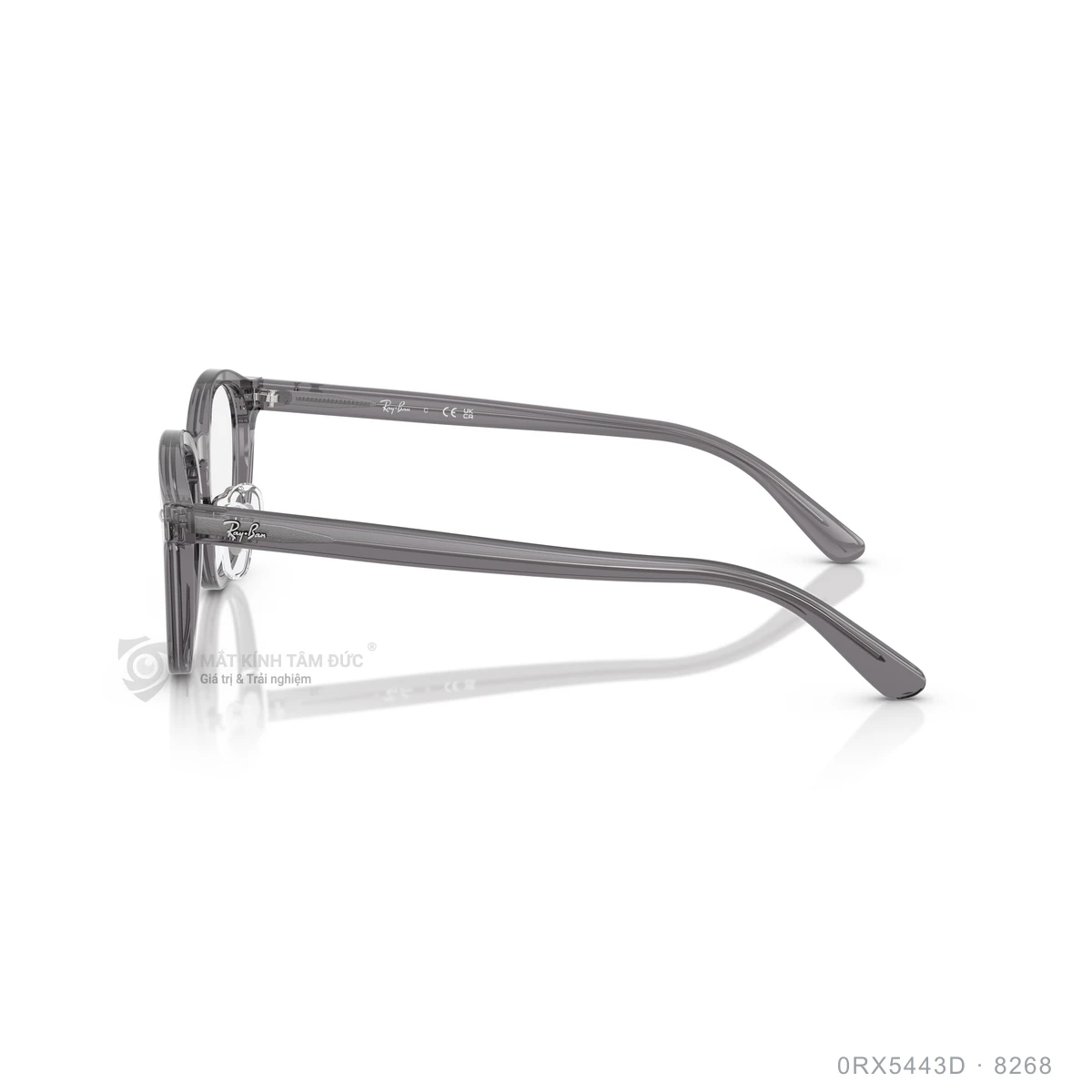 Gọng kính Rayban 0RX5443D - Ảnh 24