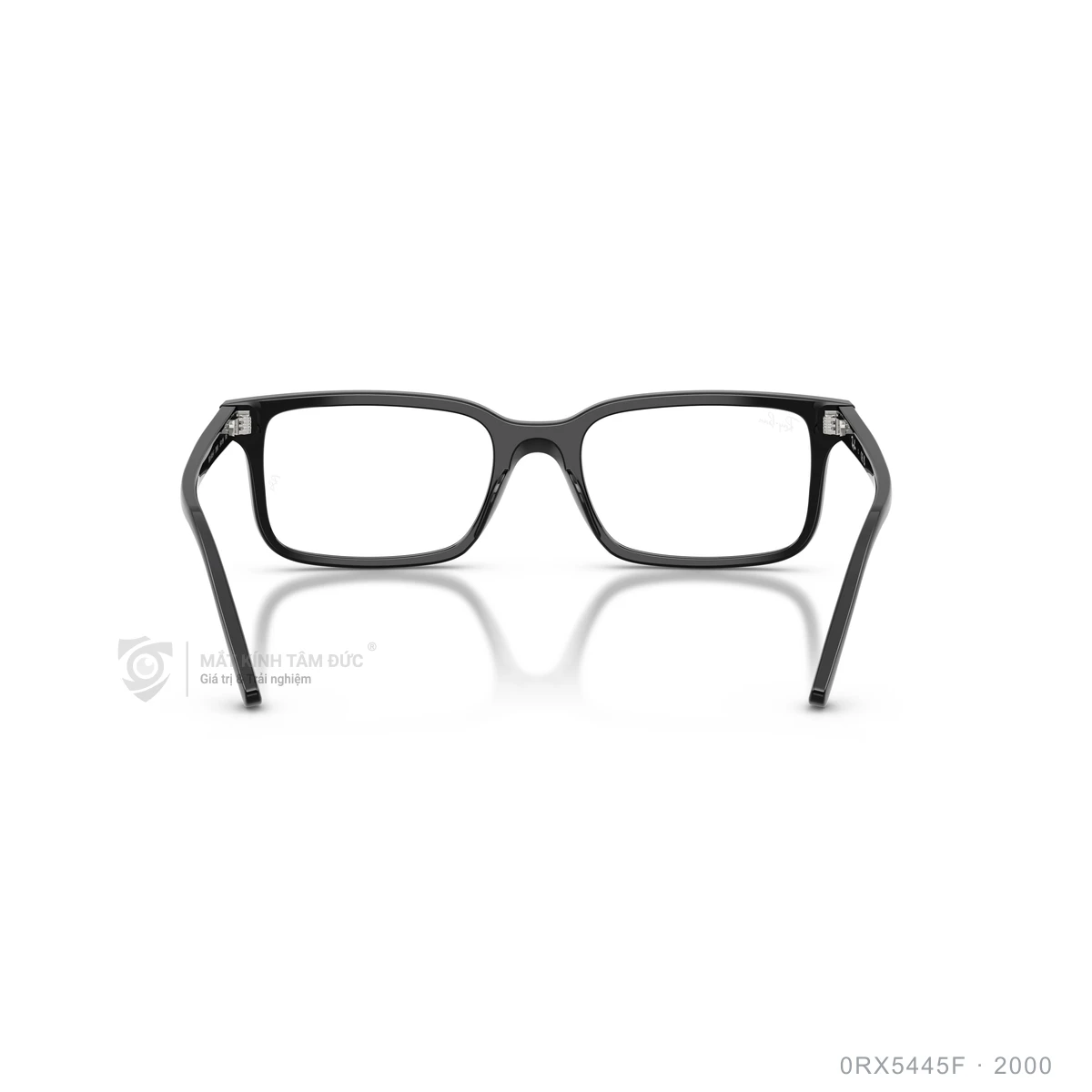 Gọng kính Rayban 0RX5445F - Ảnh 10