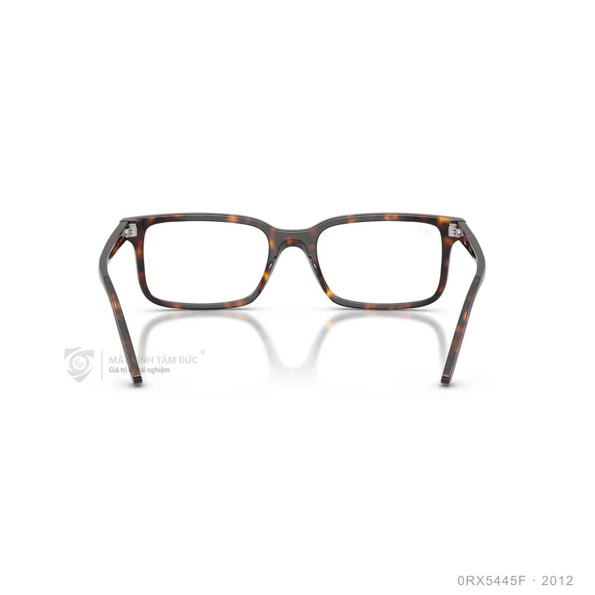 Gọng kính Rayban 0RX5445F - Ảnh 15