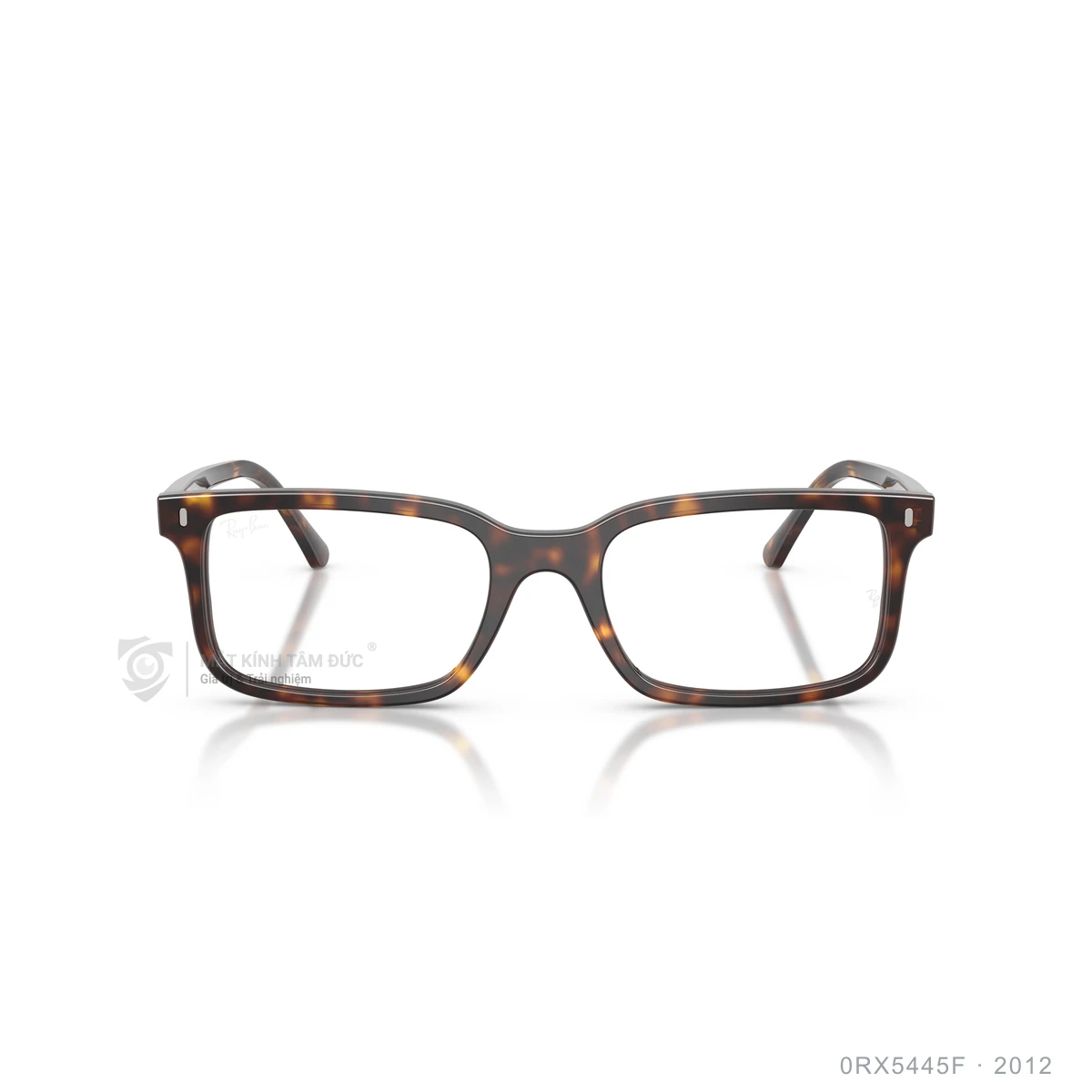 Gọng kính Rayban 0RX5445F - Ảnh 11