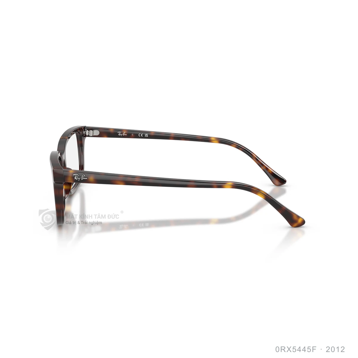 Gọng kính Rayban 0RX5445F - Ảnh 14