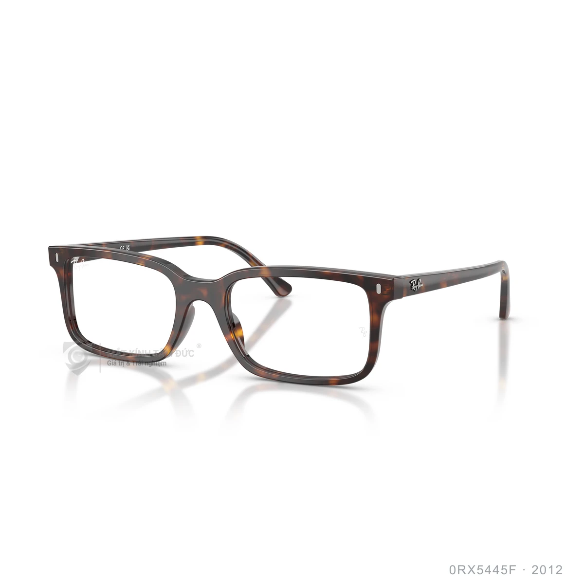 Gọng kính Rayban 0RX5445F - Ảnh 12