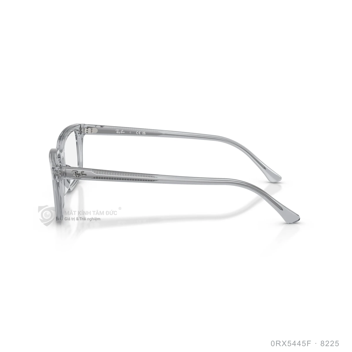 Gọng kính Rayban 0RX5445F - Ảnh 4