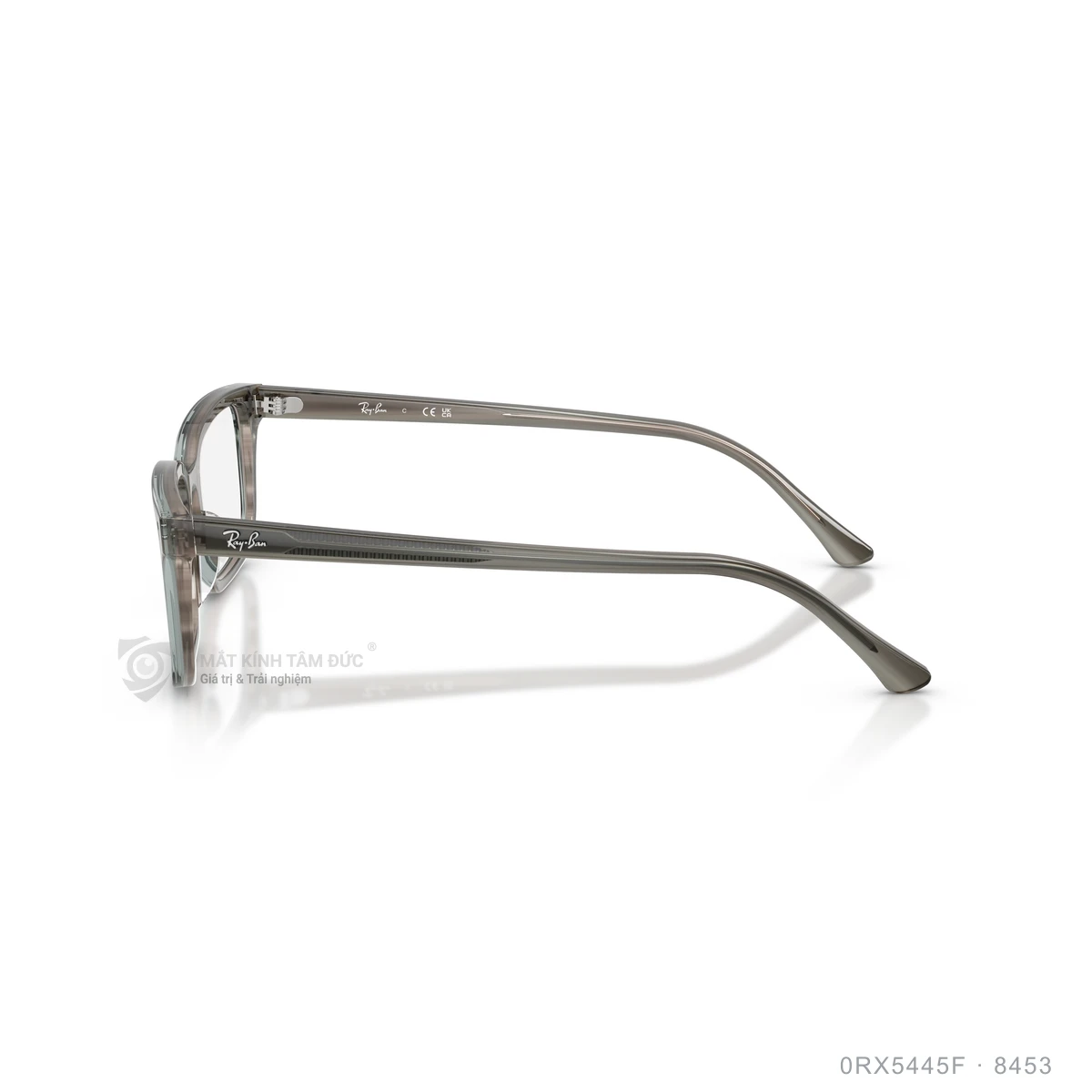 Gọng kính Rayban 0RX5445F - Ảnh 19