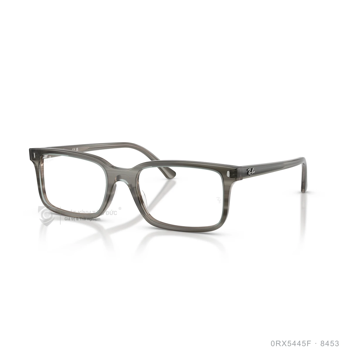 Gọng kính Rayban 0RX5445F - Ảnh 17