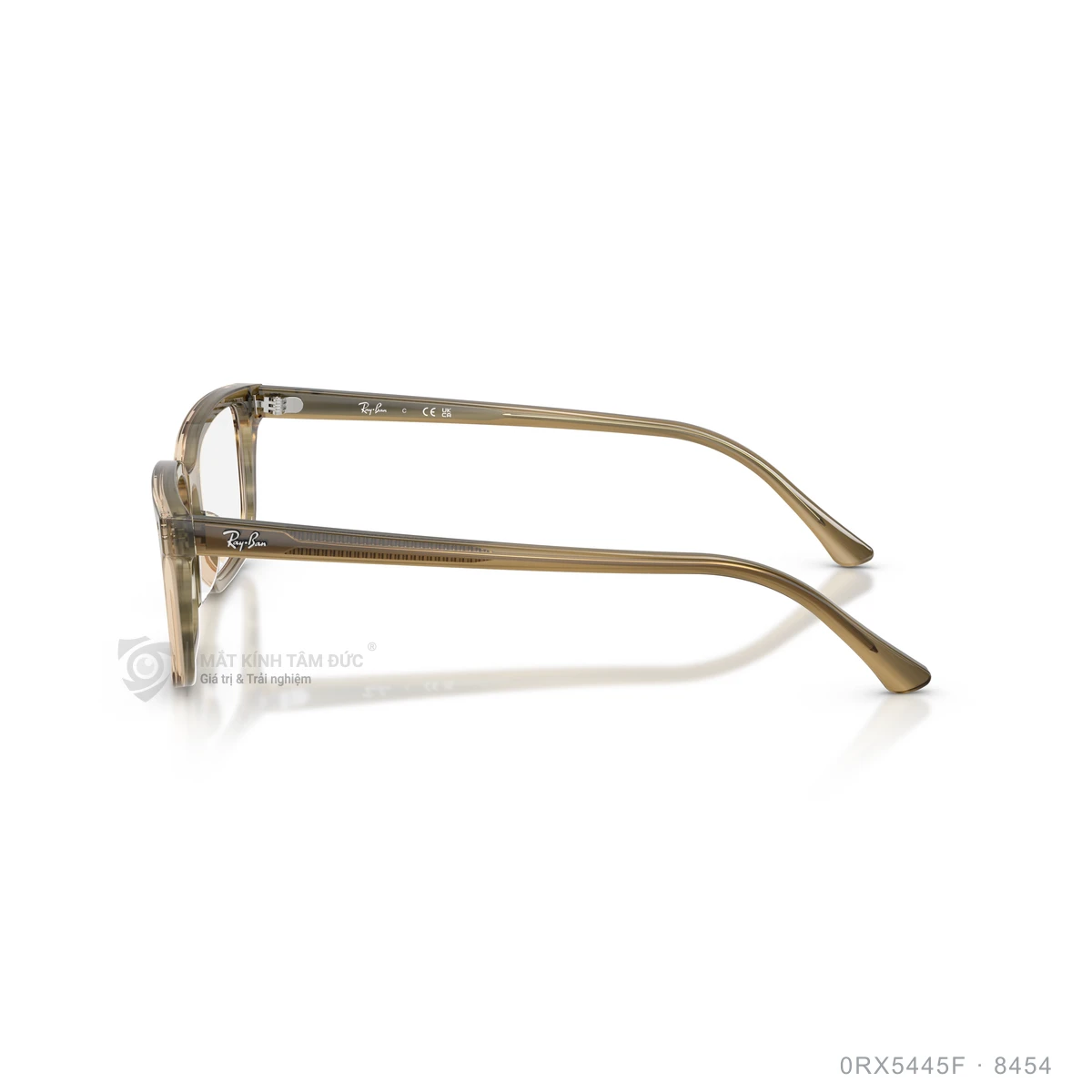 Gọng kính Rayban 0RX5445F - Ảnh 24