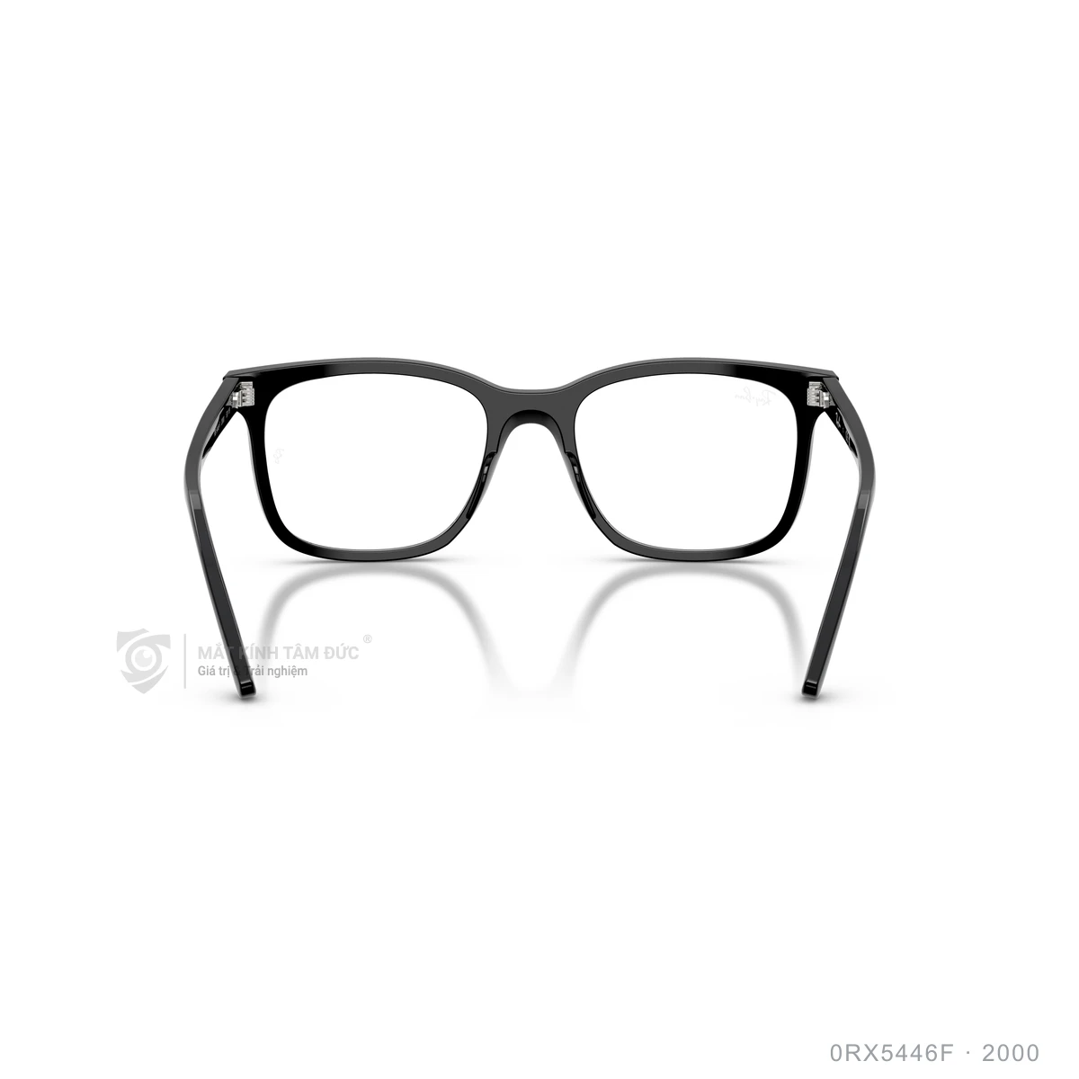 Gọng kính Rayban 0RX5446F - Ảnh 10