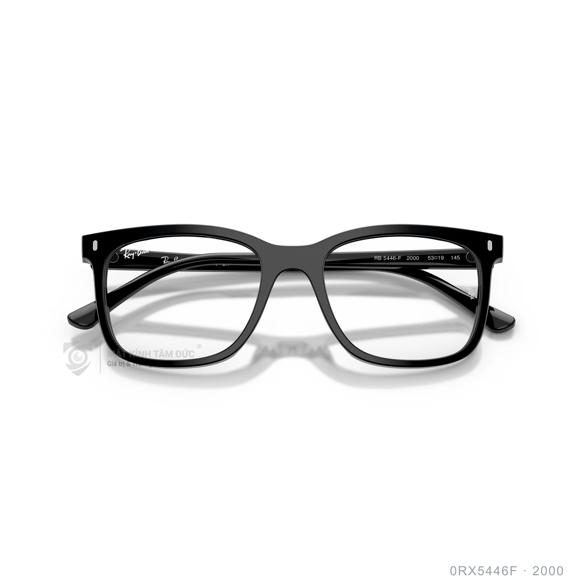 Gọng kính Rayban 0RX5446F - Ảnh 8