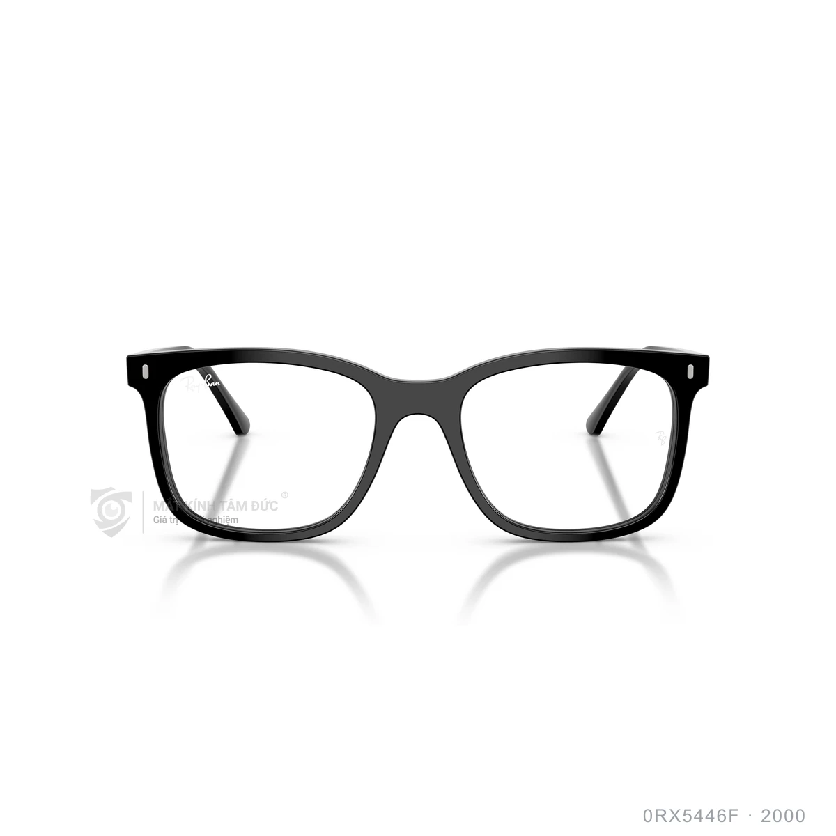 Gọng kính Rayban 0RX5446F - Ảnh 6