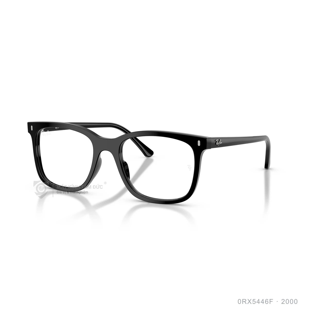Gọng kính Rayban 0RX5446F - Ảnh 7
