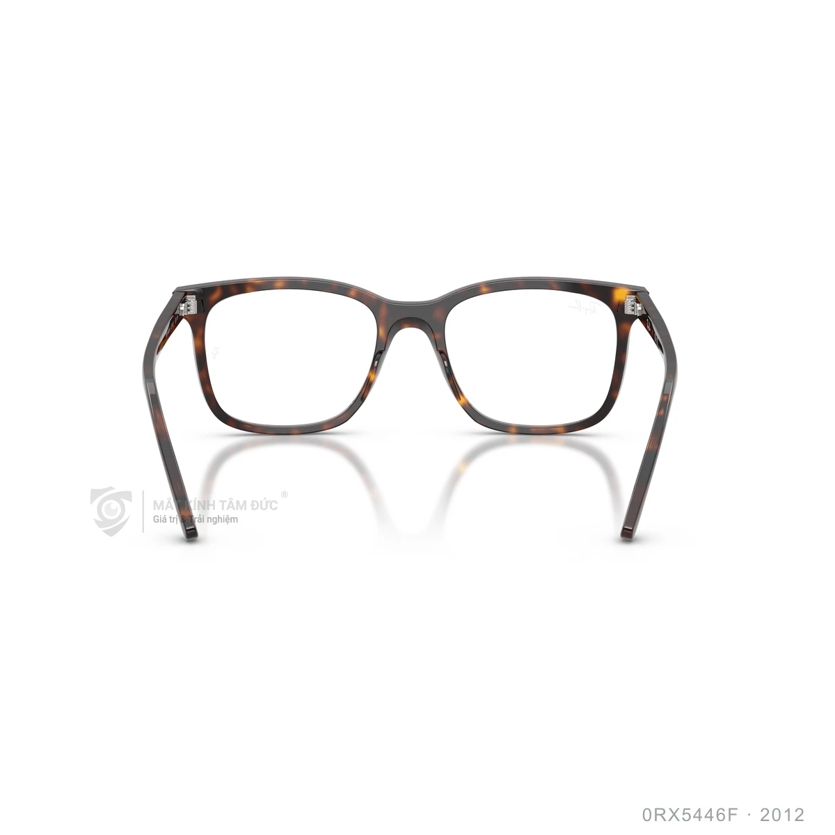 Gọng kính Rayban 0RX5446F - Ảnh 15