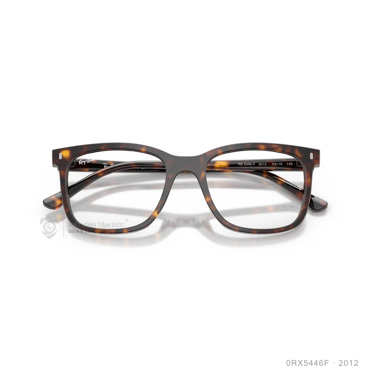 Gọng kính Rayban 0RX5446F - Ảnh 13