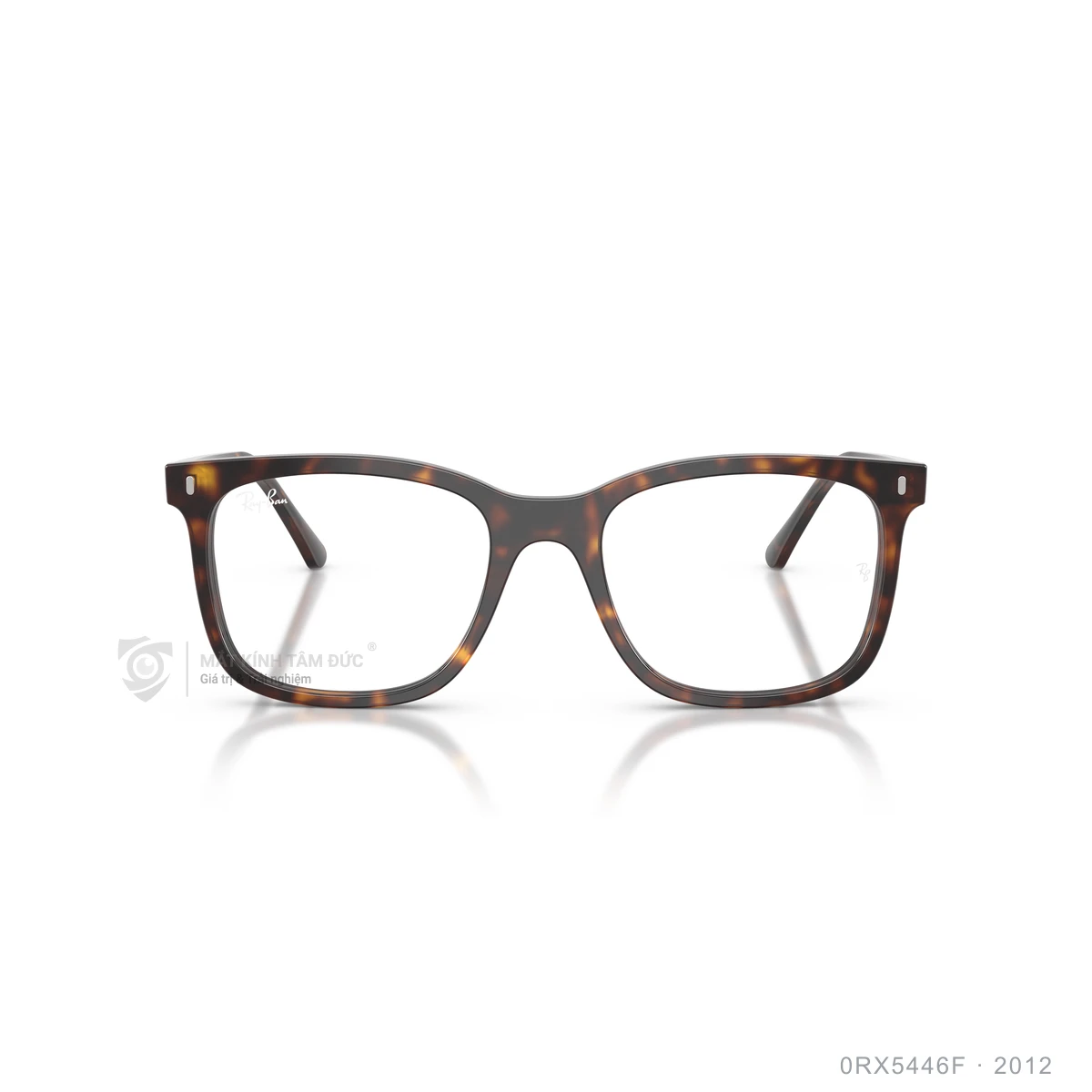 Gọng kính Rayban 0RX5446F - Ảnh 11
