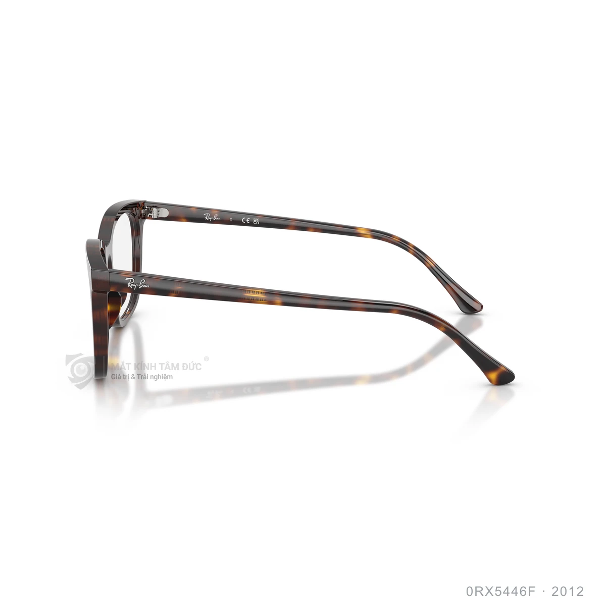 Gọng kính Rayban 0RX5446F - Ảnh 14
