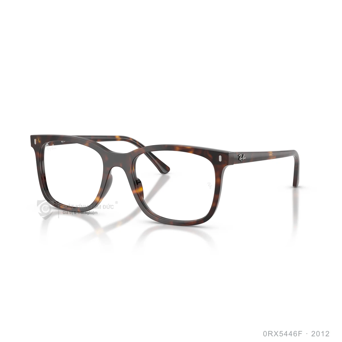 Gọng kính Rayban 0RX5446F - Ảnh 12