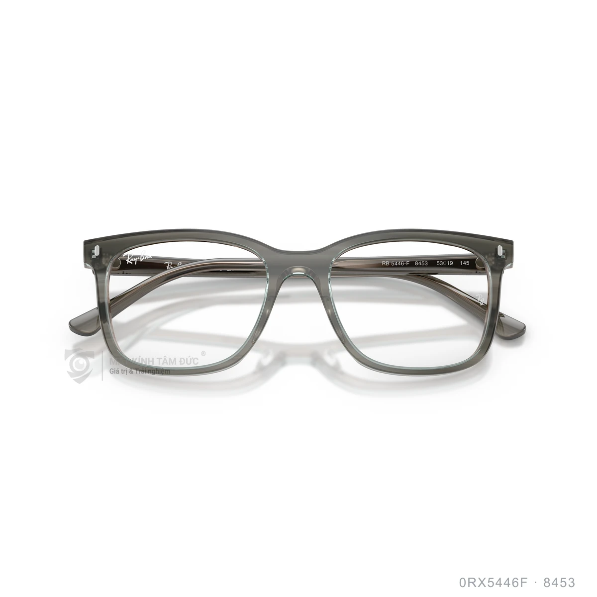 Gọng kính Rayban 0RX5446F - Ảnh 18