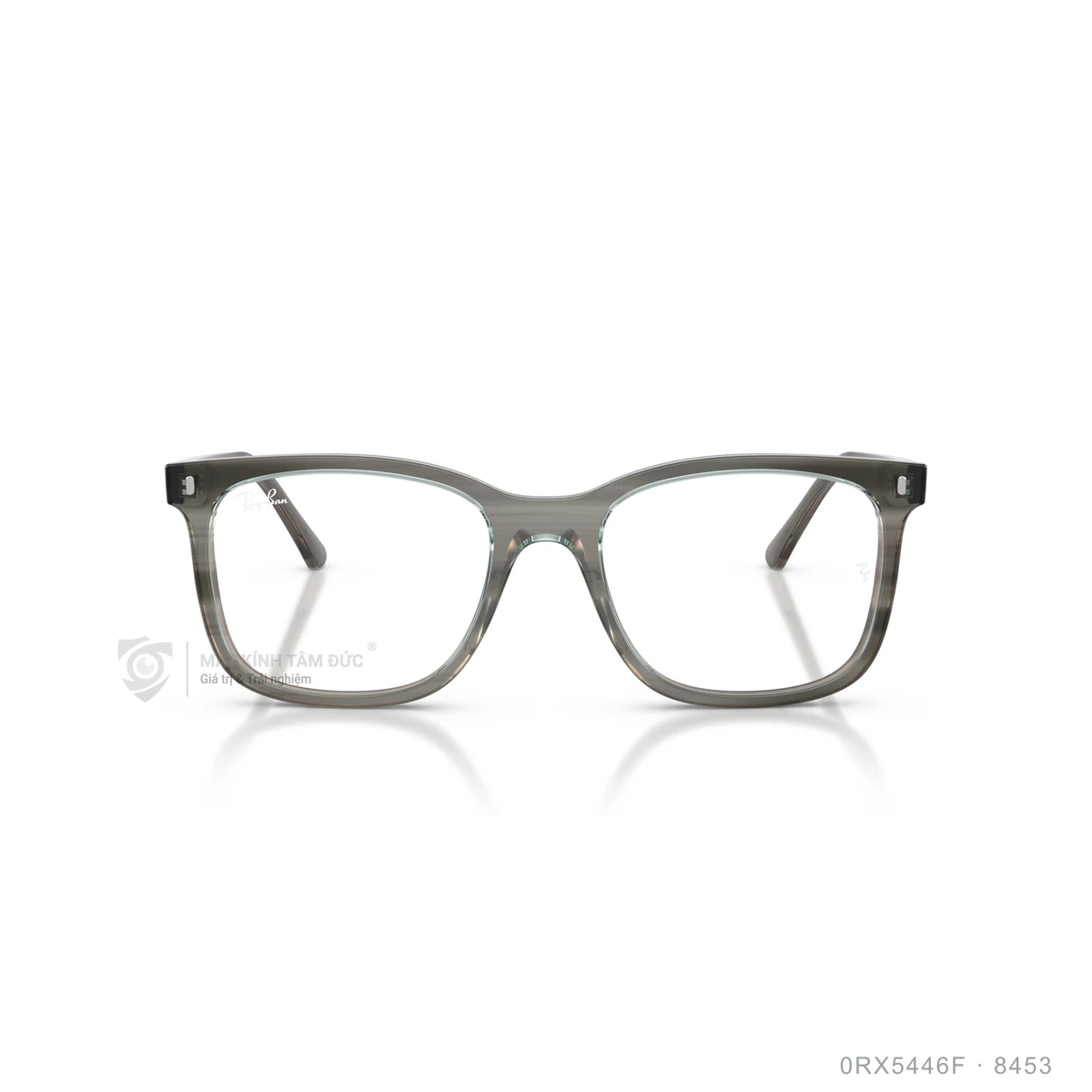 Gọng kính Rayban 0RX5446F - Ảnh 16