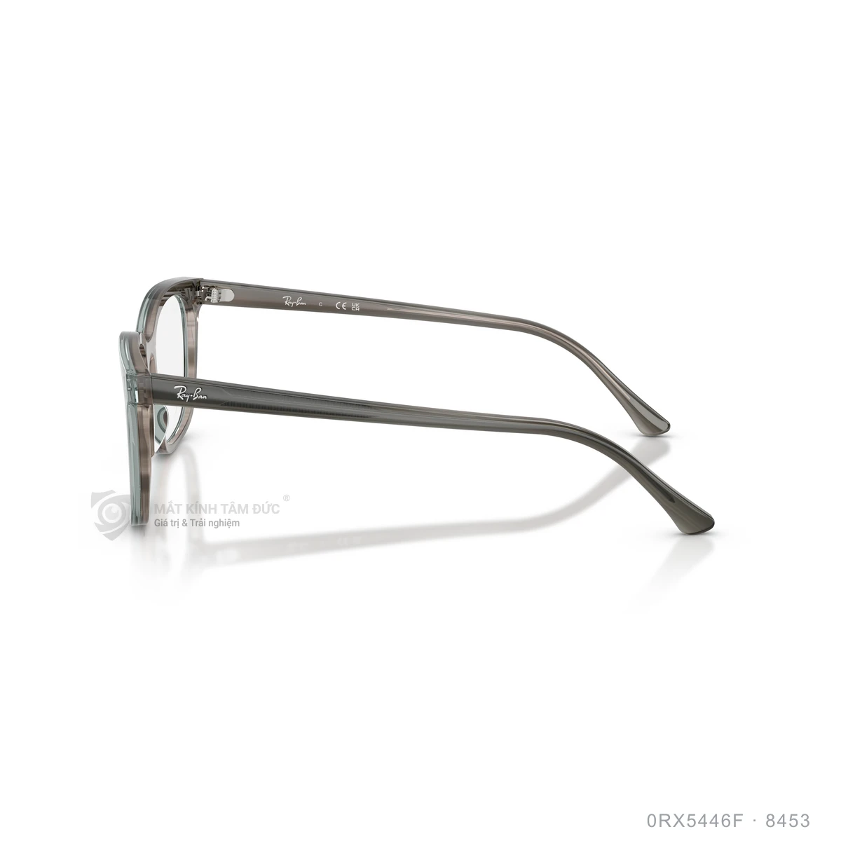 Gọng kính Rayban 0RX5446F - Ảnh 19