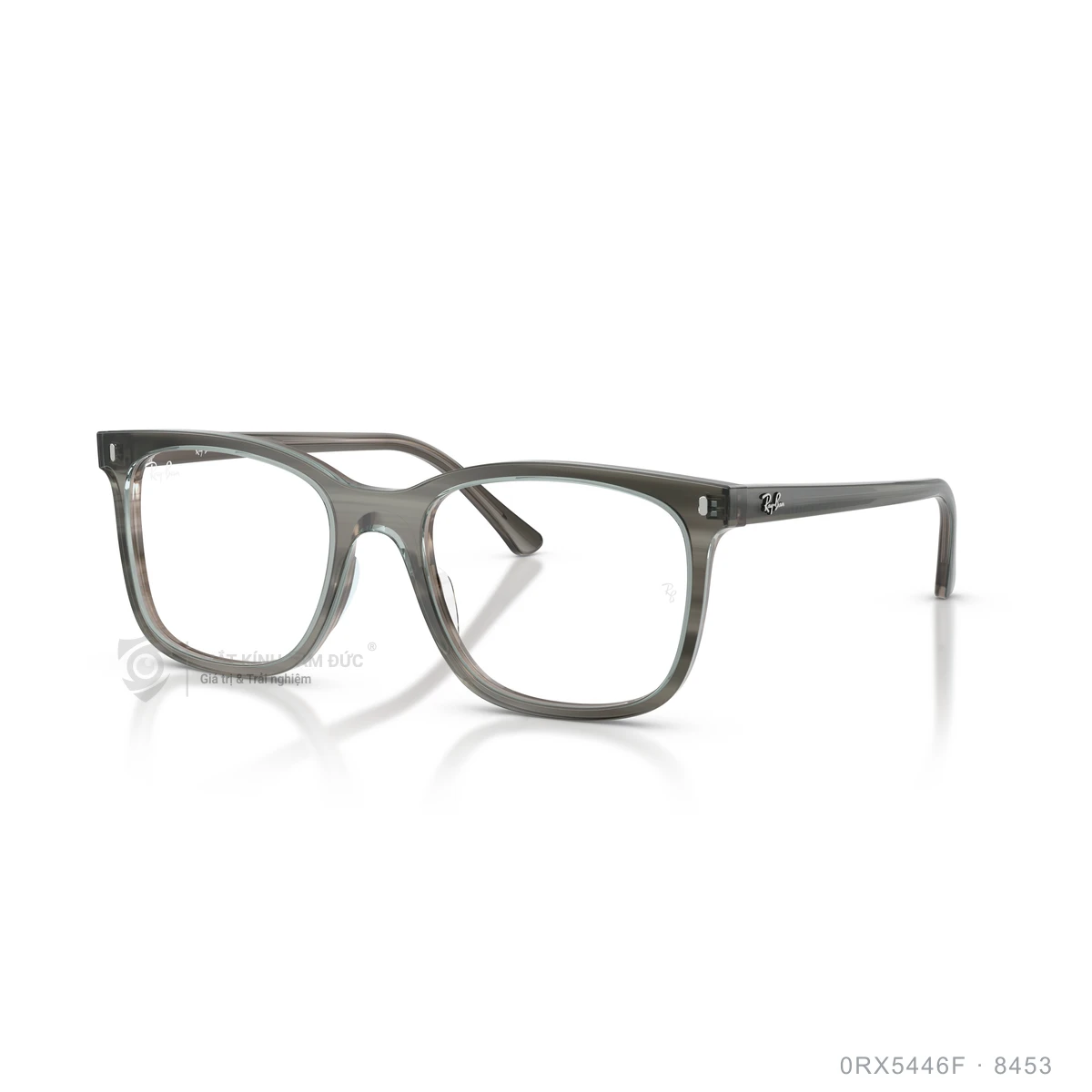 Gọng kính Rayban 0RX5446F - Ảnh 17