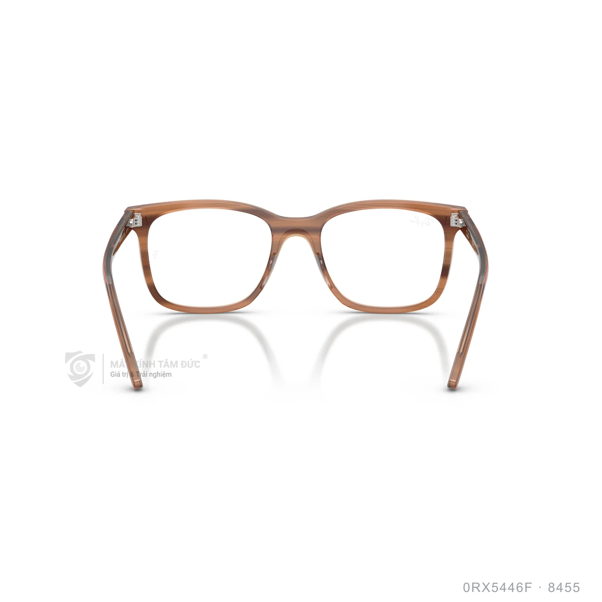 Gọng kính Rayban 0RX5446F - Ảnh 25