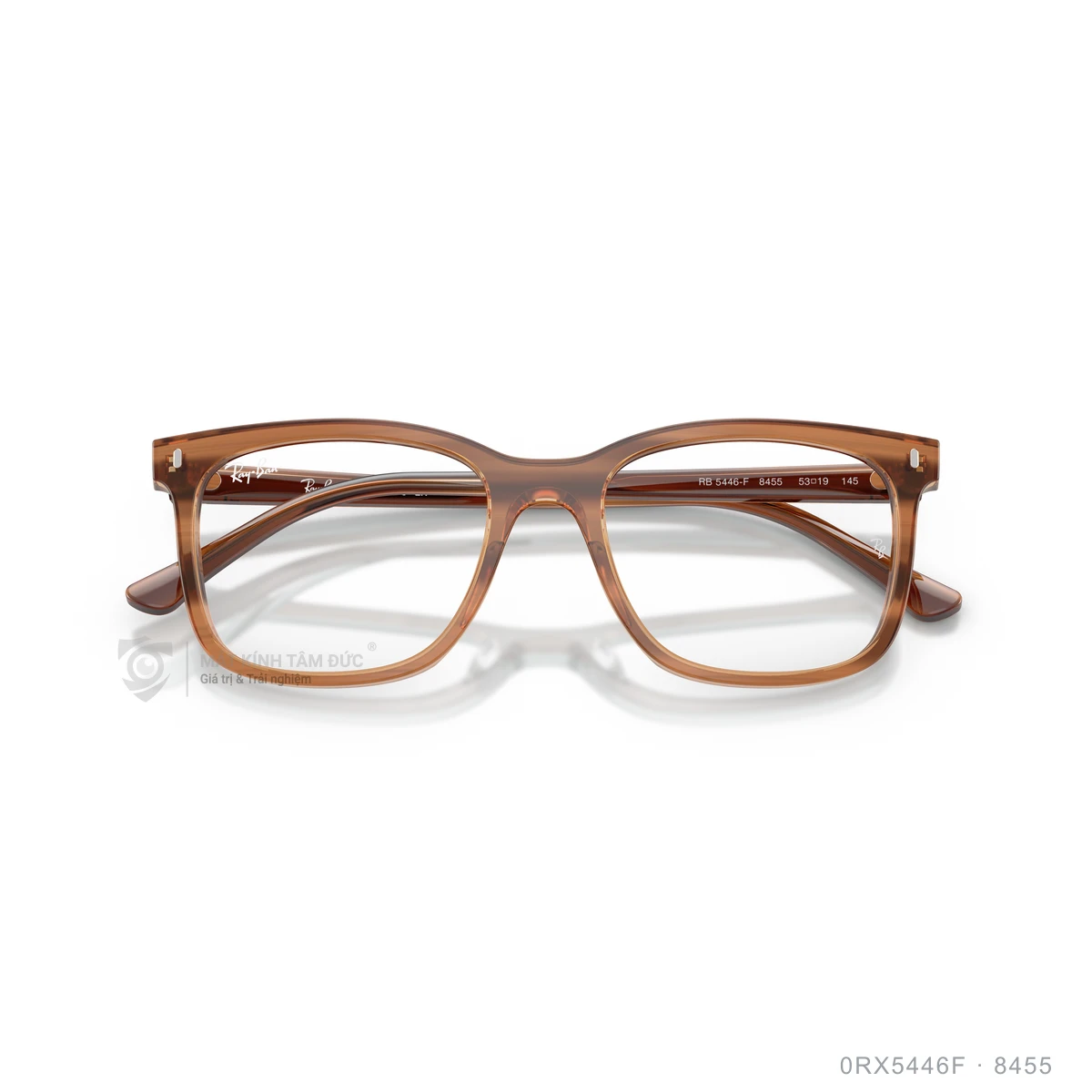 Gọng kính Rayban 0RX5446F - Ảnh 23