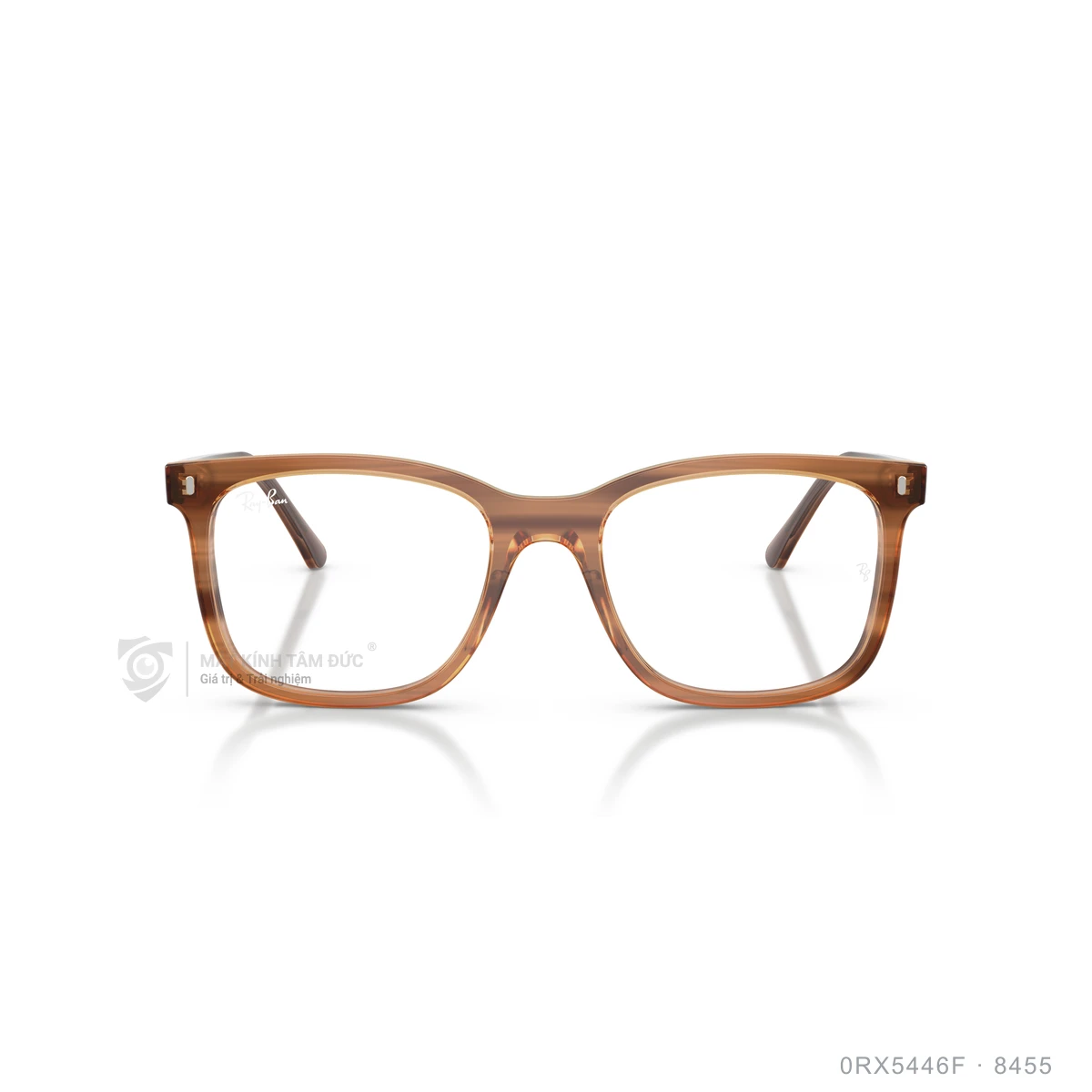 Gọng kính Rayban 0RX5446F - Ảnh 21