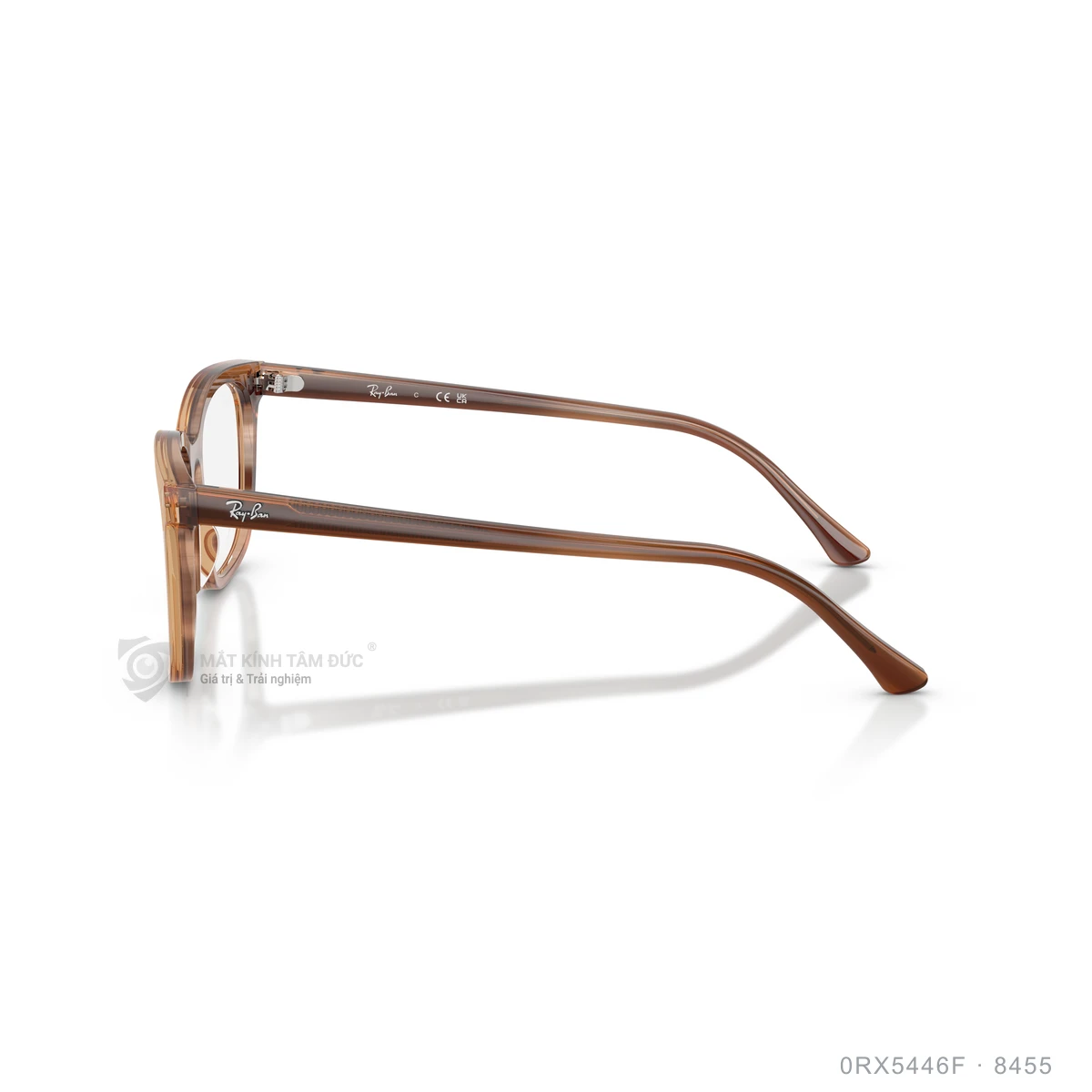 Gọng kính Rayban 0RX5446F - Ảnh 24