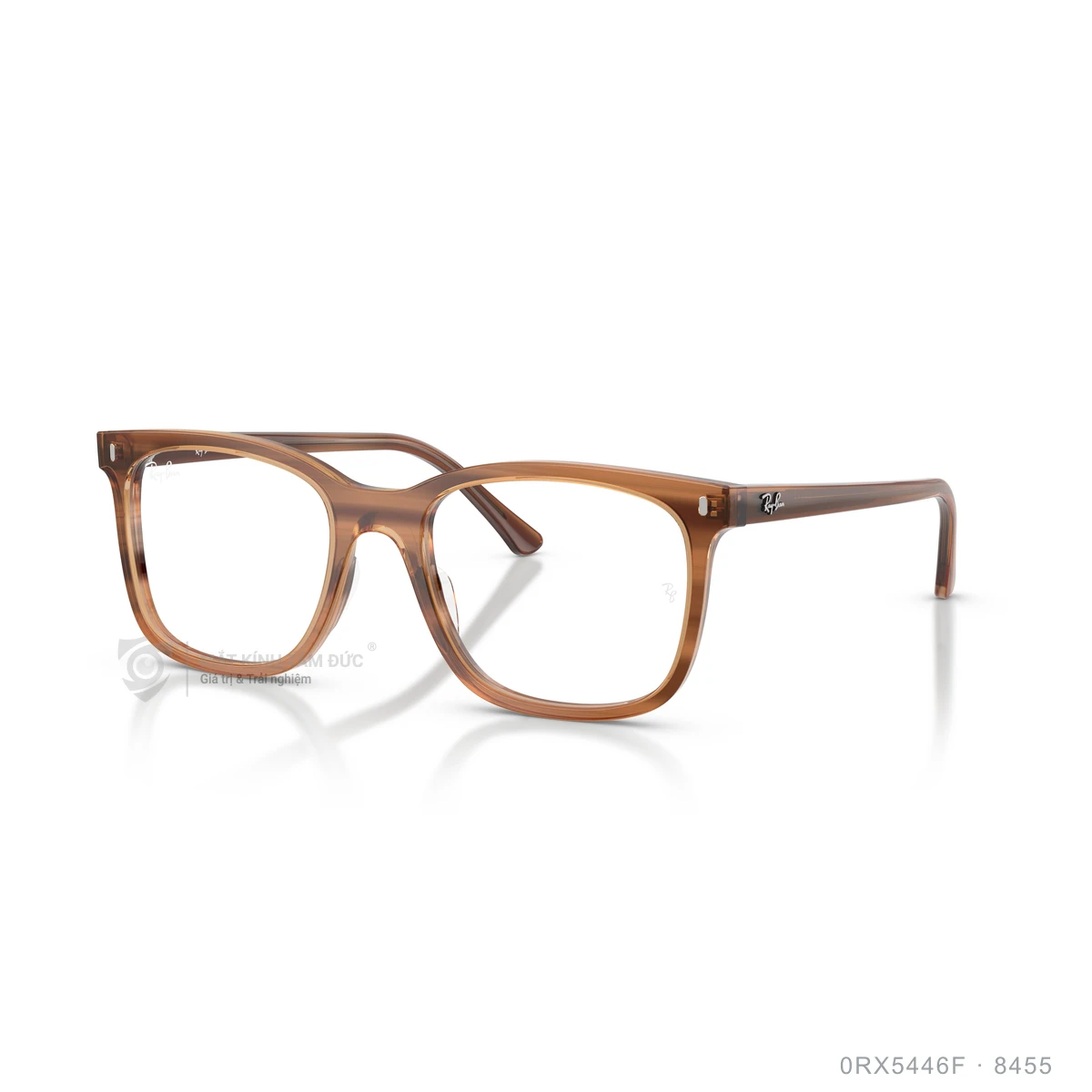 Gọng kính Rayban 0RX5446F - Ảnh 22
