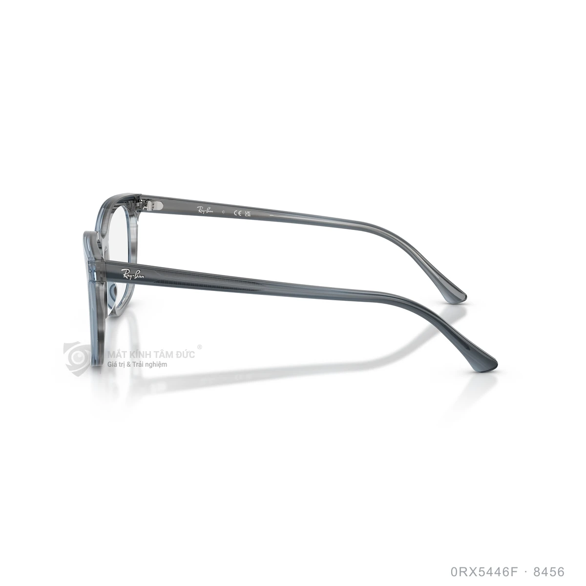 Gọng kính Rayban 0RX5446F - Ảnh 29
