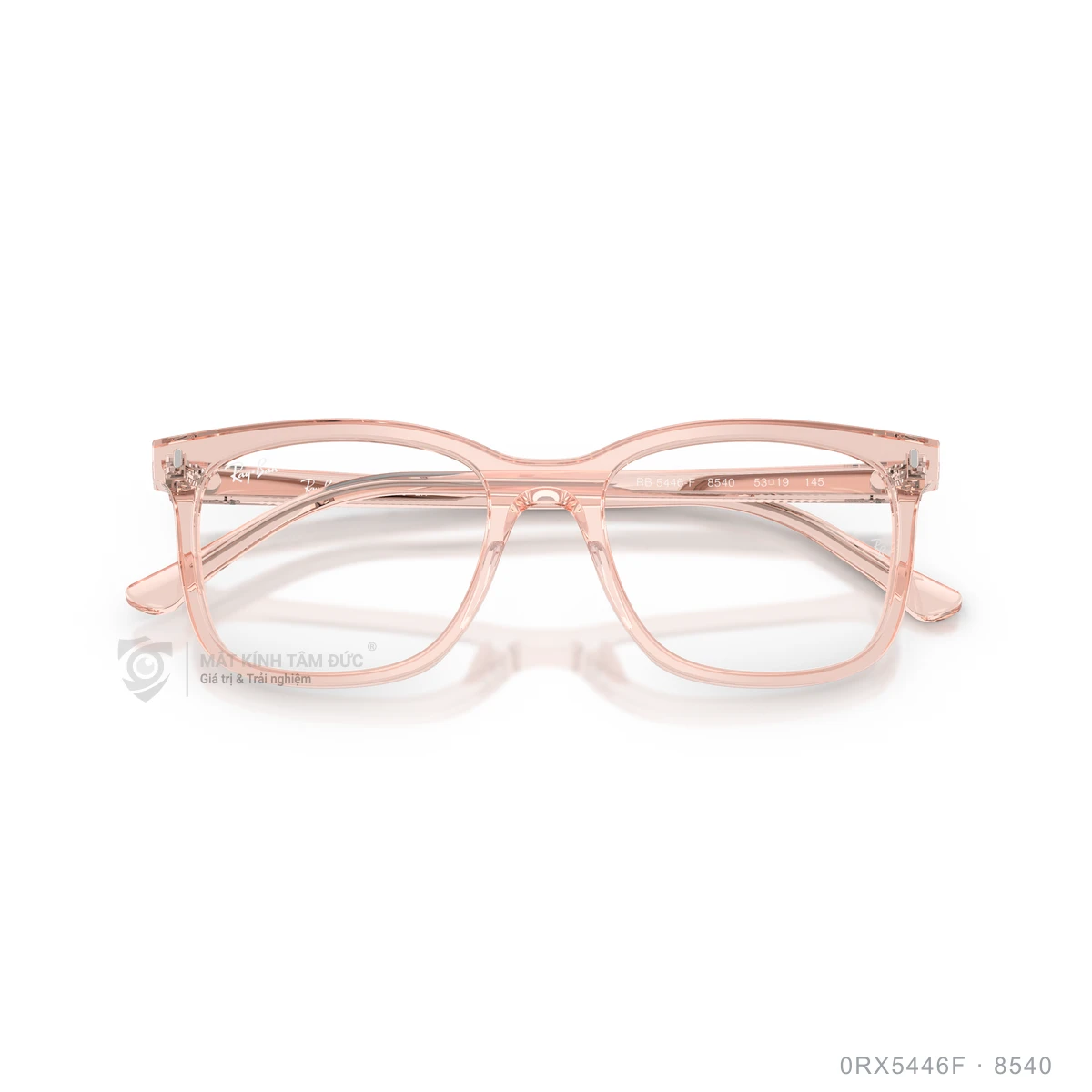 Gọng kính Rayban 0RX5446F - Ảnh 3