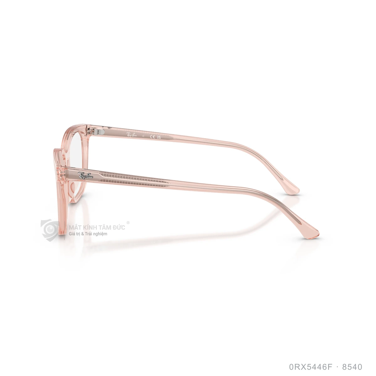 Gọng kính Rayban 0RX5446F - Ảnh 4
