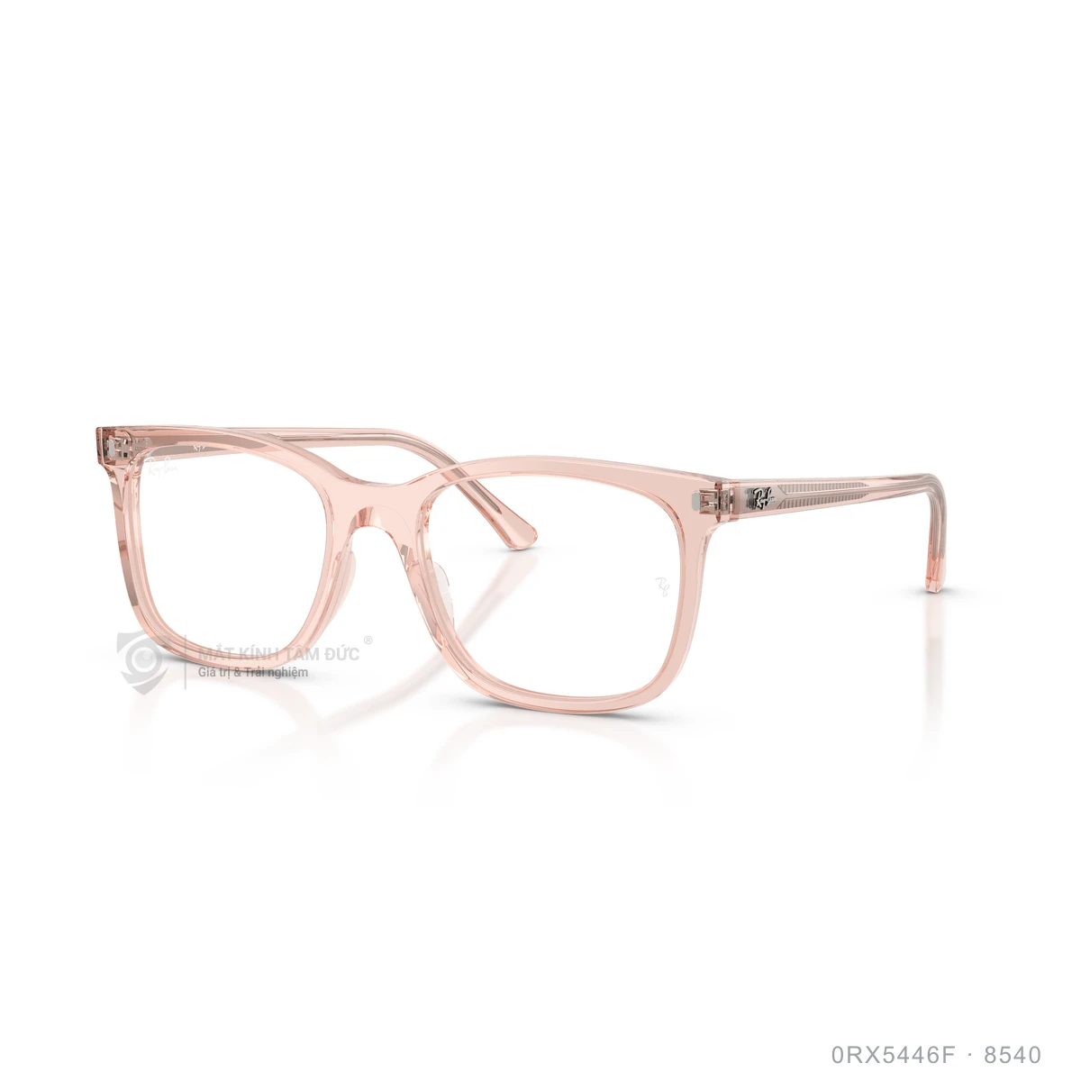 Chi tiết góc nghiêng Gọng kính Rayban 0RX5446F