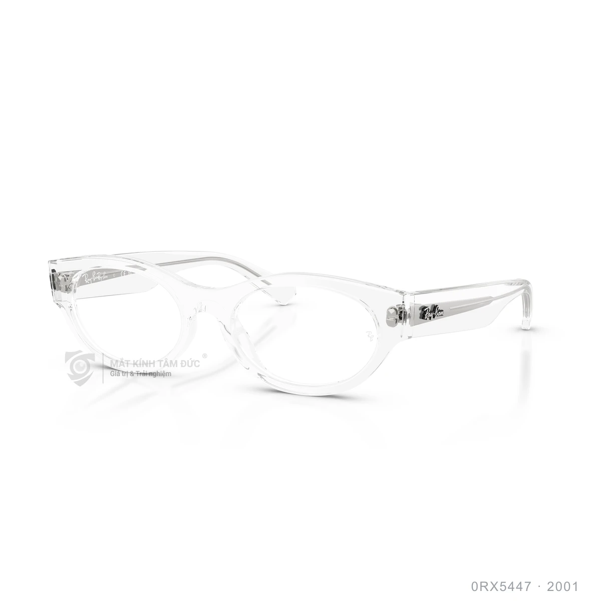 Chi tiết góc nghiêng Gọng kính Rayban 0RX5447