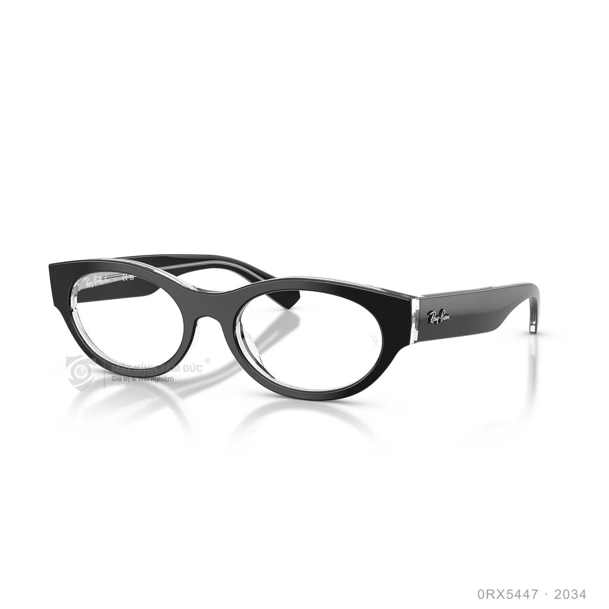 Gọng kính Rayban 0RX5447 - Ảnh 12