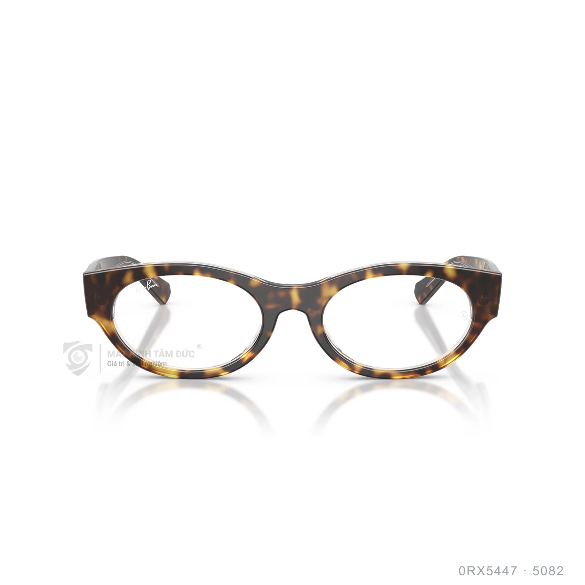 Gọng kính Rayban 0RX5447 - Ảnh 16