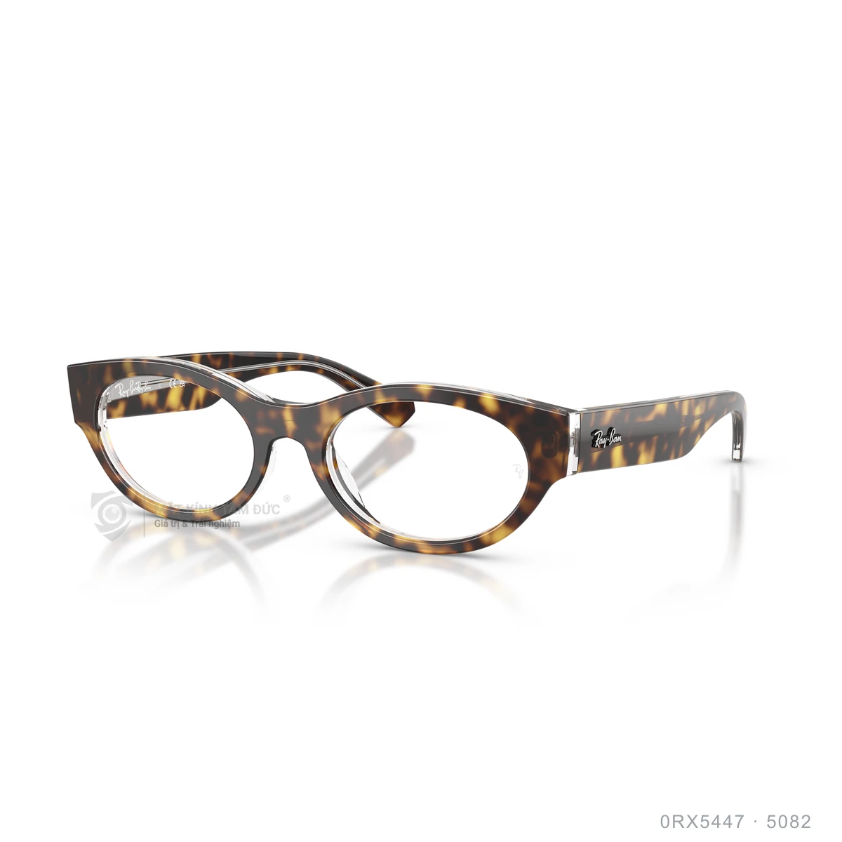 Gọng kính Rayban 0RX5447 - Ảnh 17