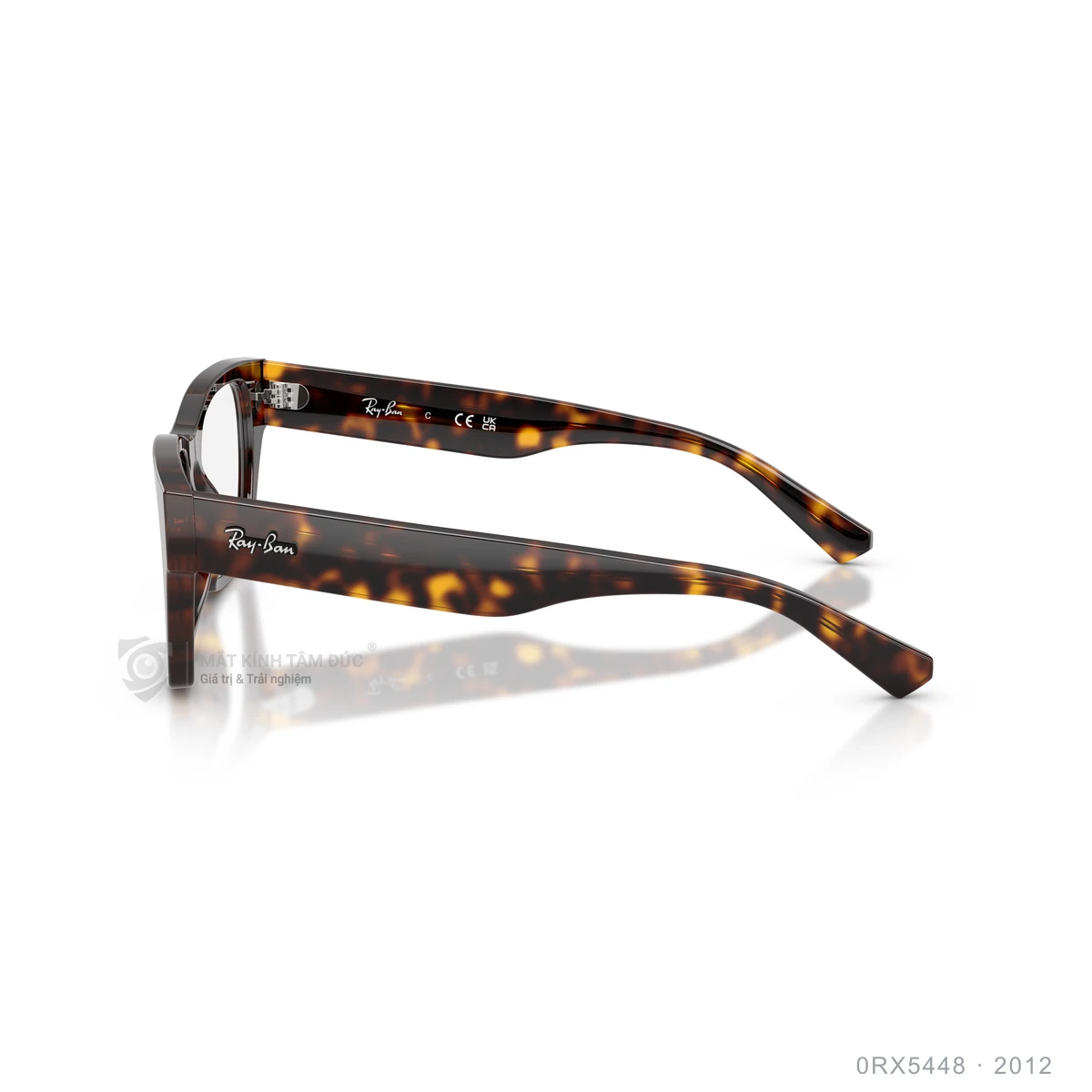 Gọng kính Rayban 0RX5448 - Ảnh 19