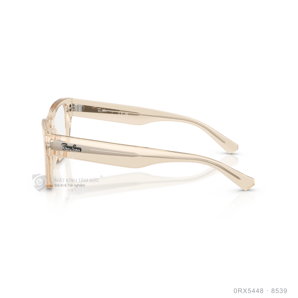 Gọng kính Rayban 0RX5448 - Ảnh 9