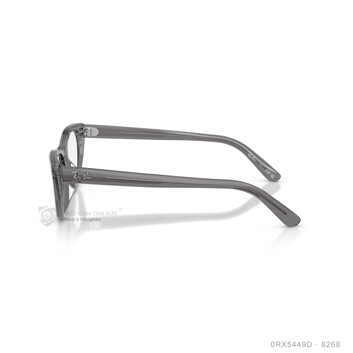 Gọng kính Rayban 0RX5449D - Ảnh 19