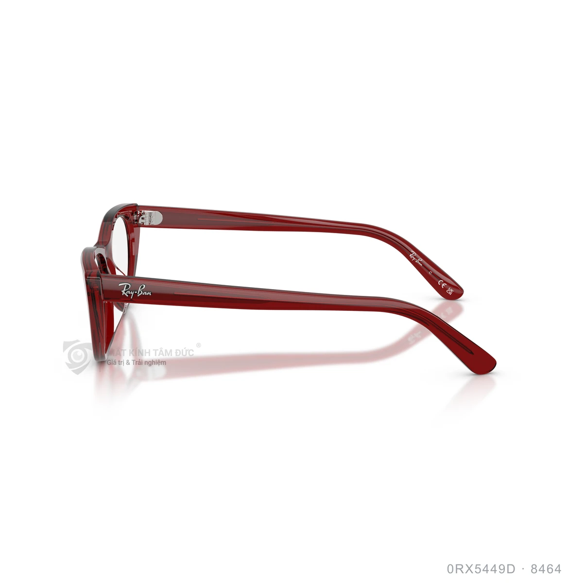Gọng kính Rayban 0RX5449D - Ảnh 4