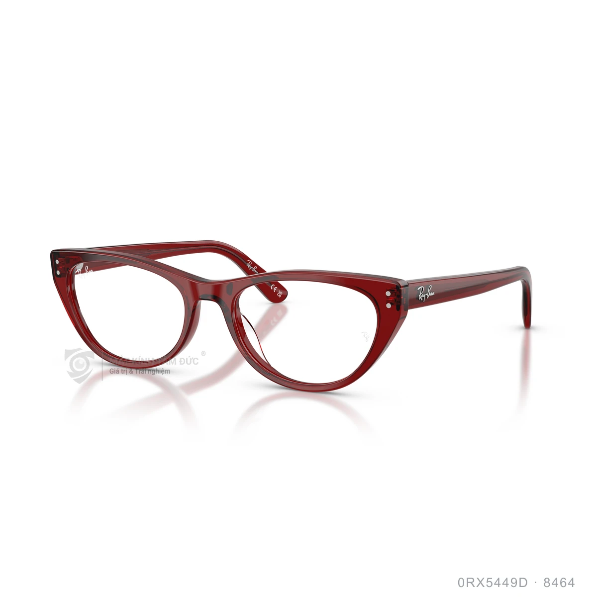 Chi tiết góc nghiêng Gọng kính Rayban 0RX5449D