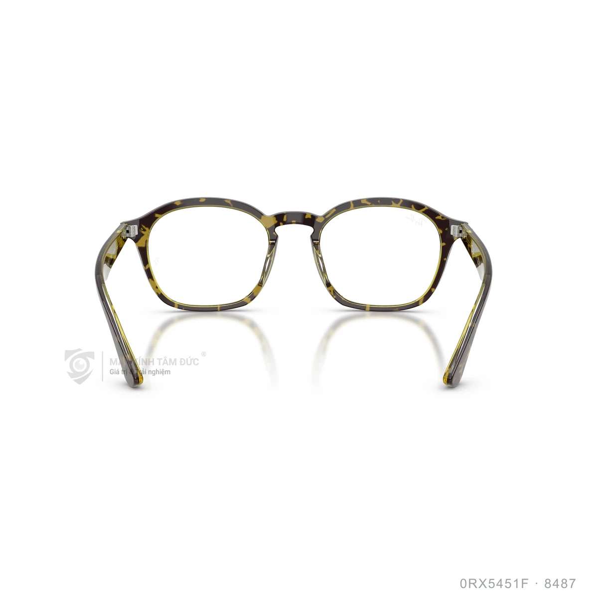 Gọng kính Rayban 0RX5451F - Ảnh 25