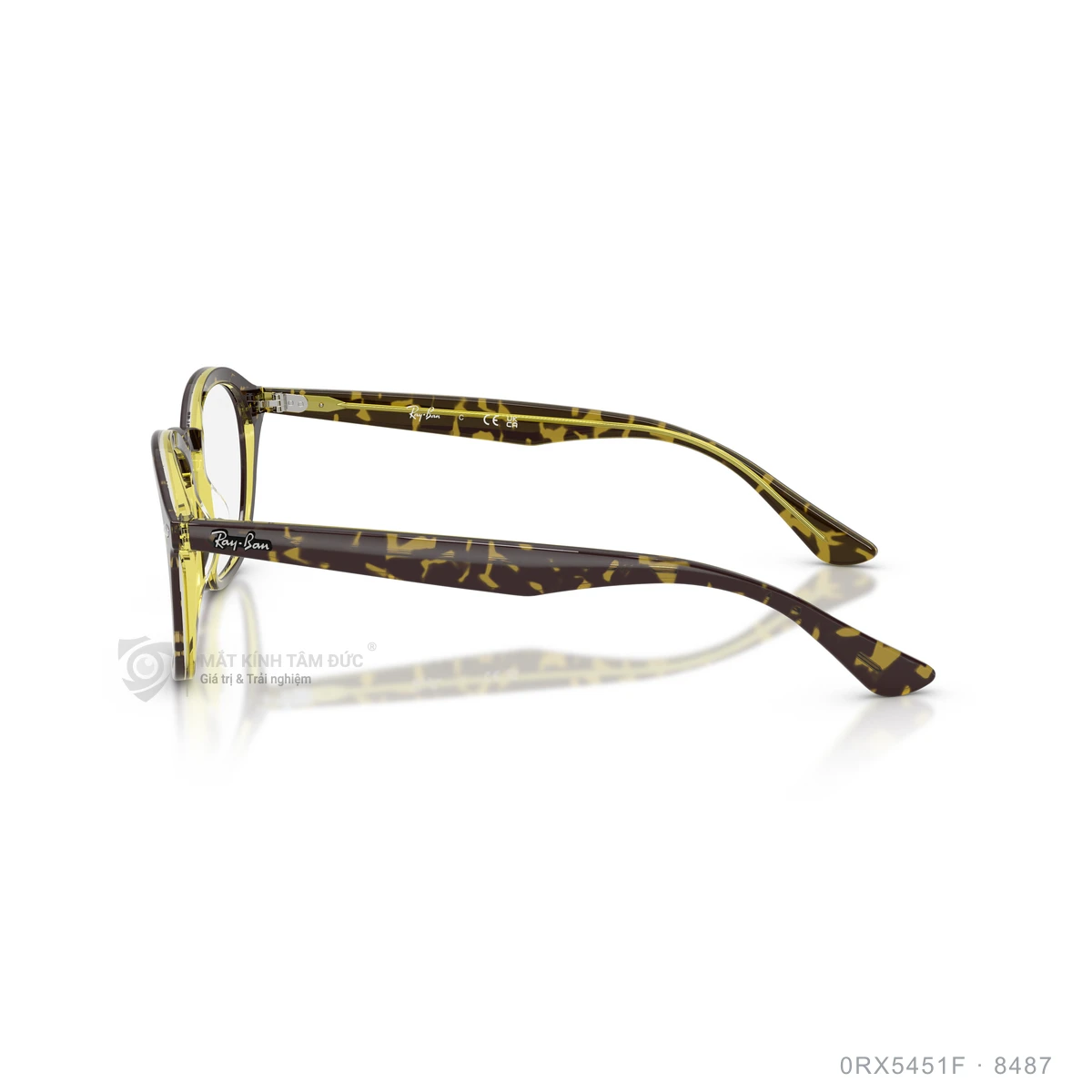 Gọng kính Rayban 0RX5451F - Ảnh 24