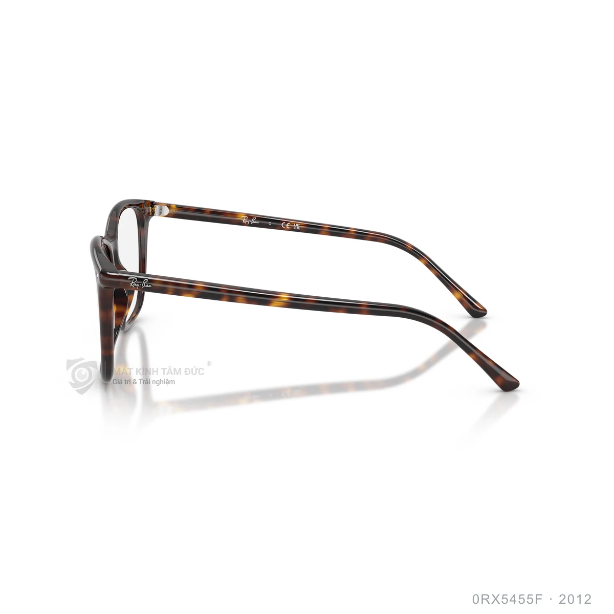 Gọng kính Rayban 0RX5455F - Ảnh 14