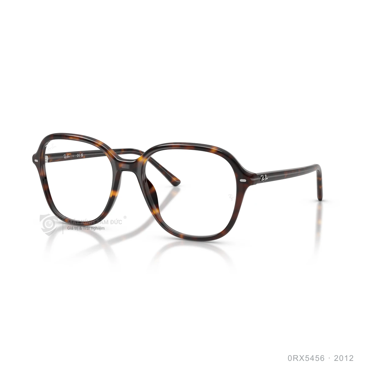 Gọng kính Rayban 0RX5456 - Ảnh 17